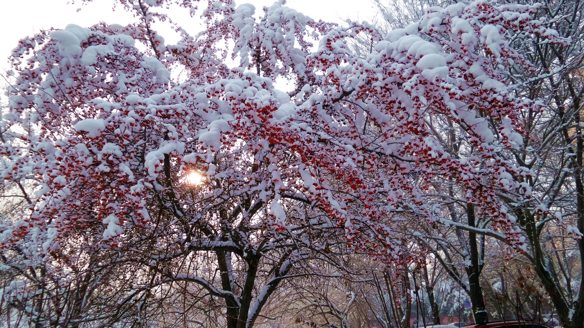 nEO_IMG_20151218_133041.jpg