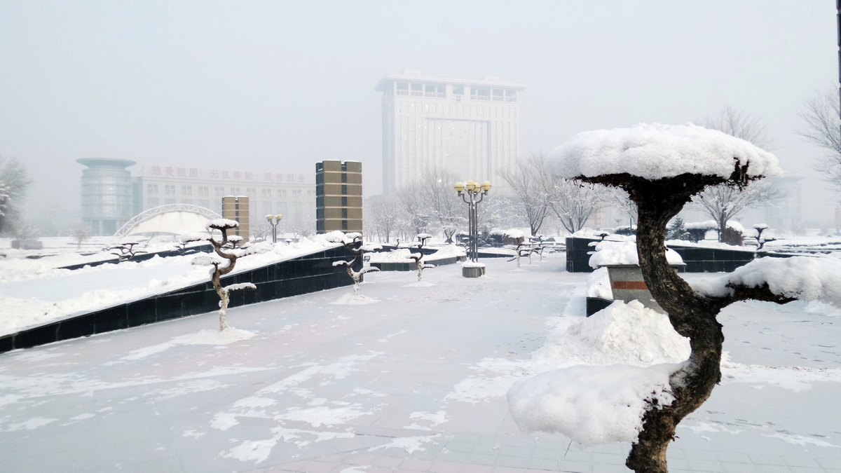 nEO_IMG_20151218_125207.jpg