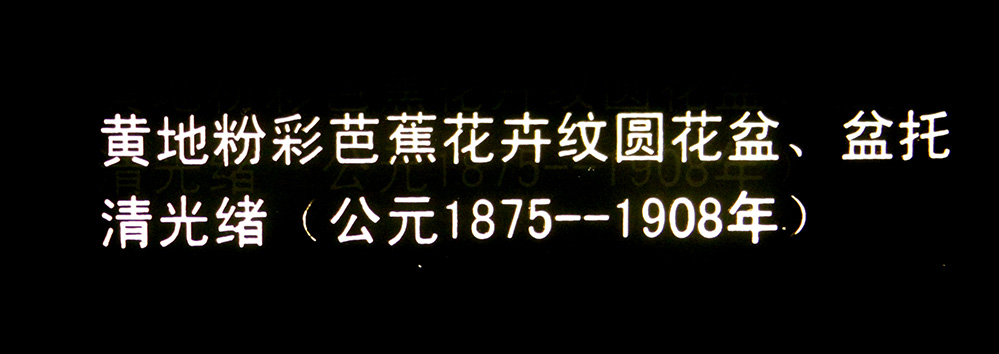 IMGL3885.jpg