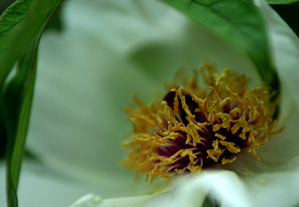 _SC_9653.JPG