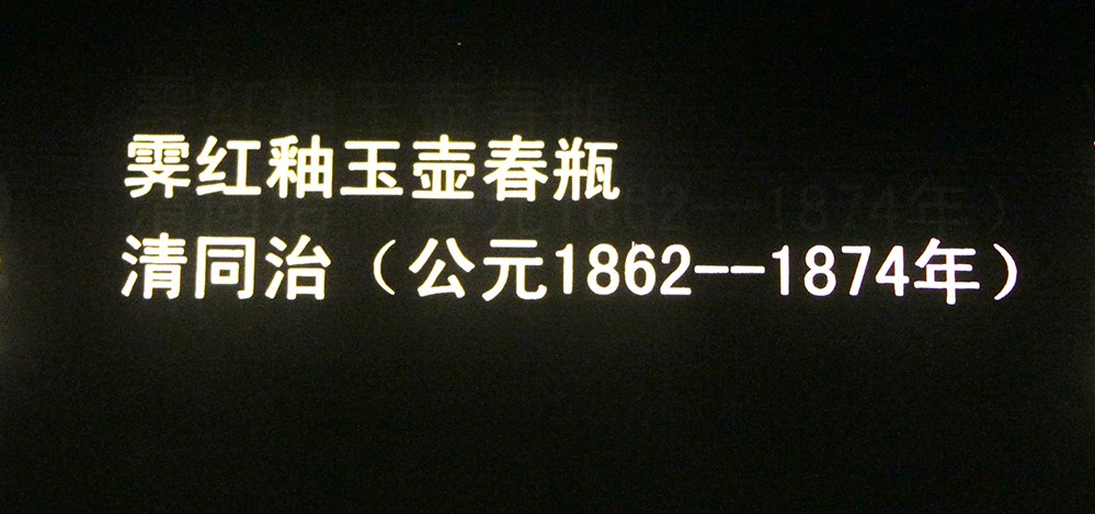 IMGL3898.jpg