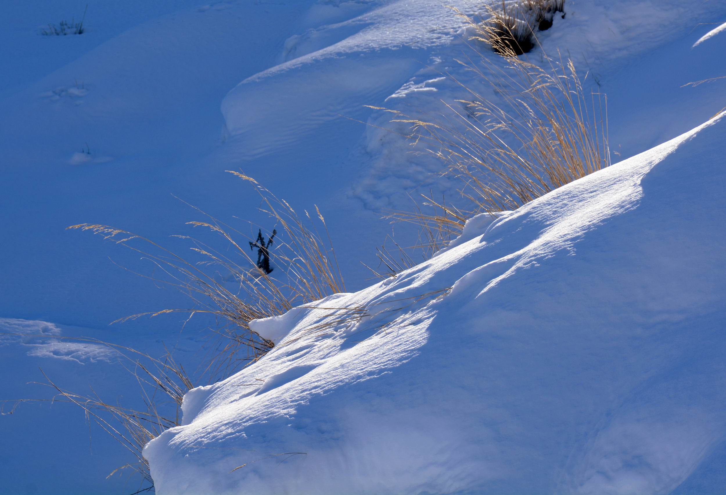 С DSC_1091_.jpg