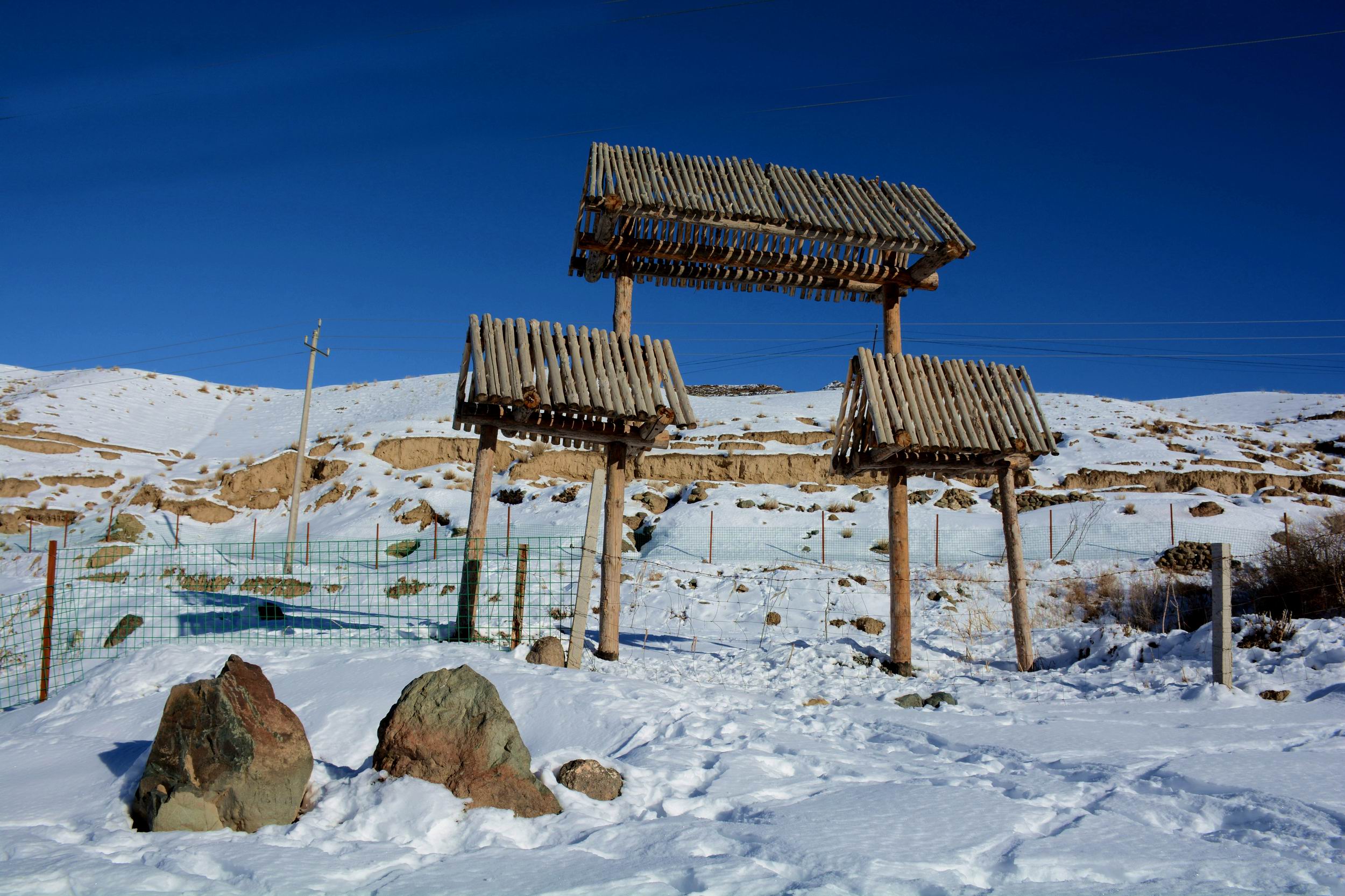 С DSC_1198_.jpg