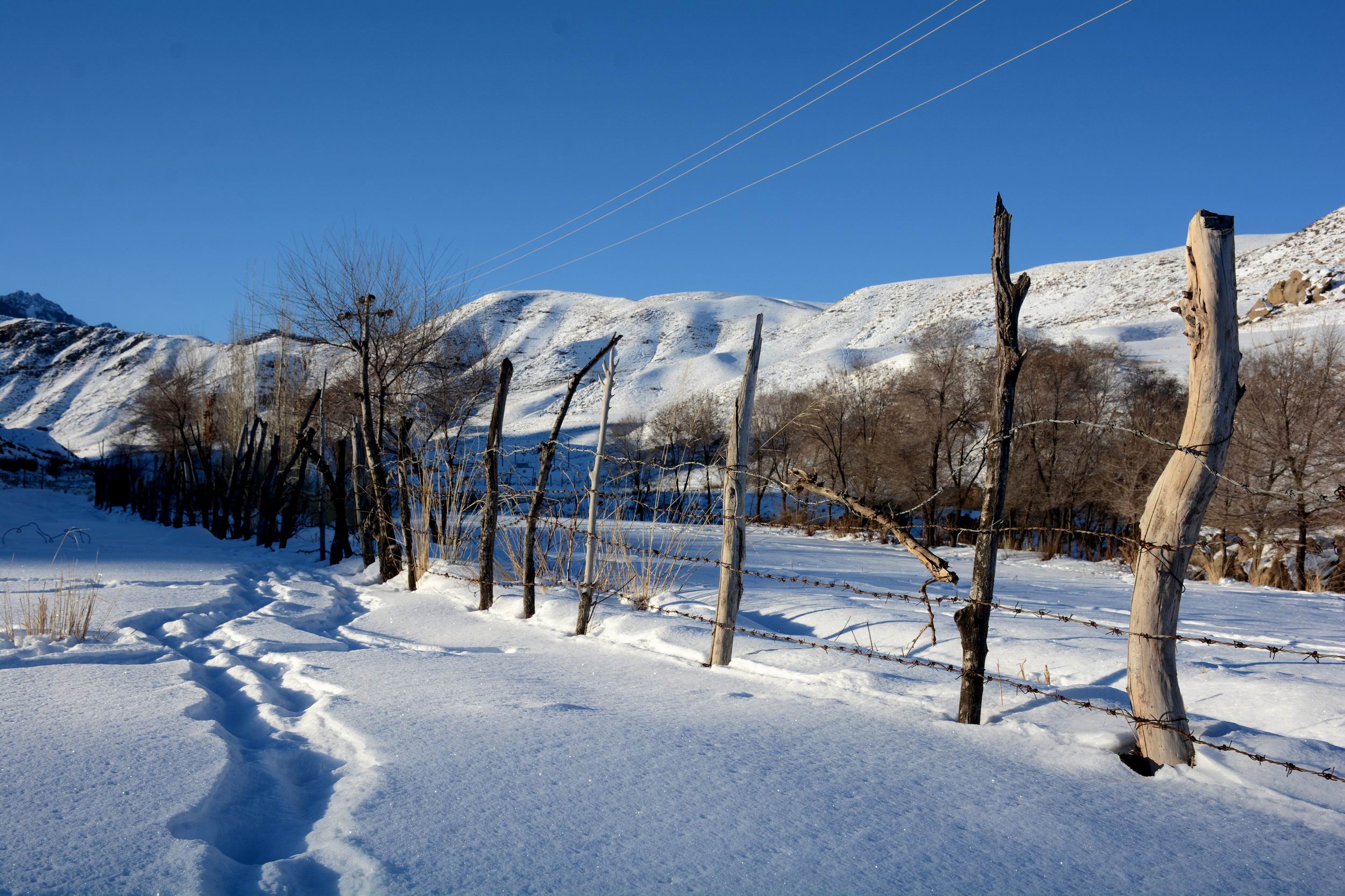 С DSC_1058_.jpg