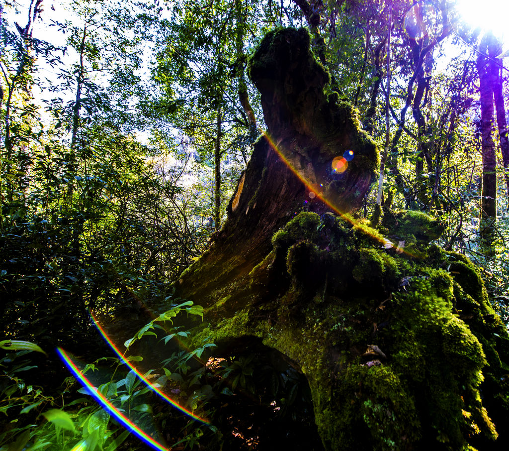 _DSC9683.jpg