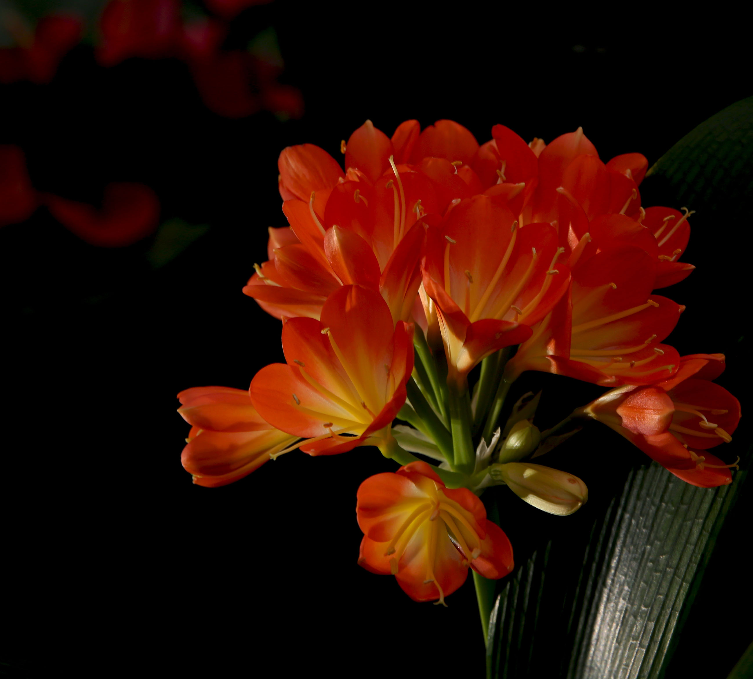 DH6A9905.jpg