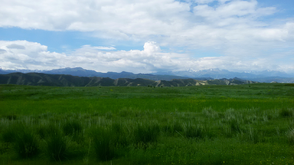 20150606_120513.jpg