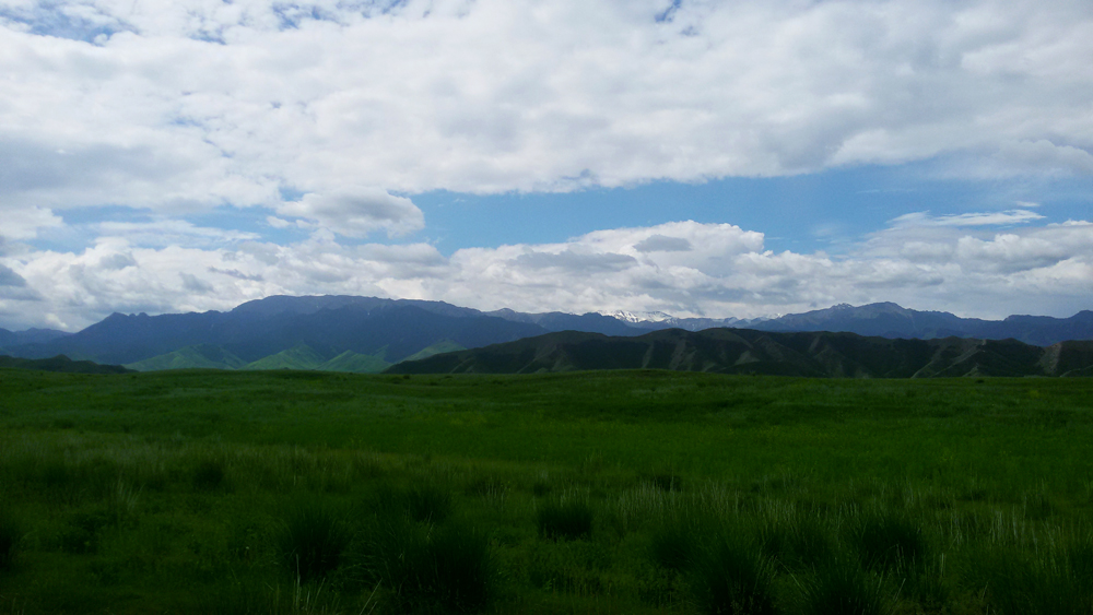 20150606_120518.jpg