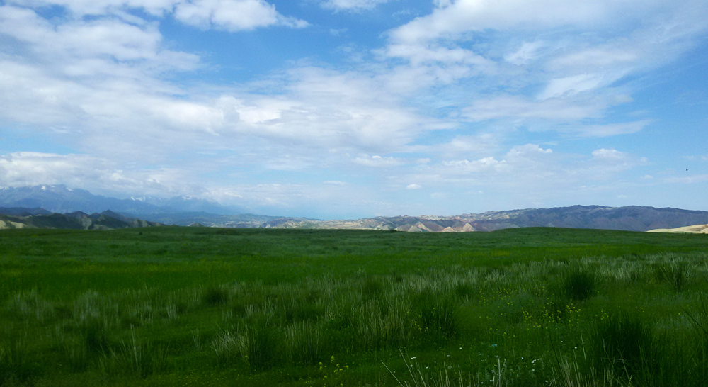 20150606_120523.jpg