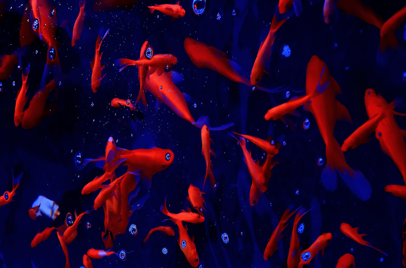 ͻ (11).jpg