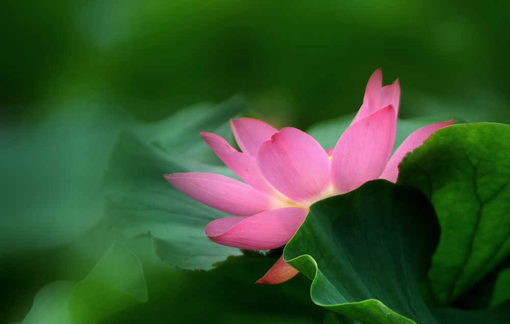 DSC_2207.JPG