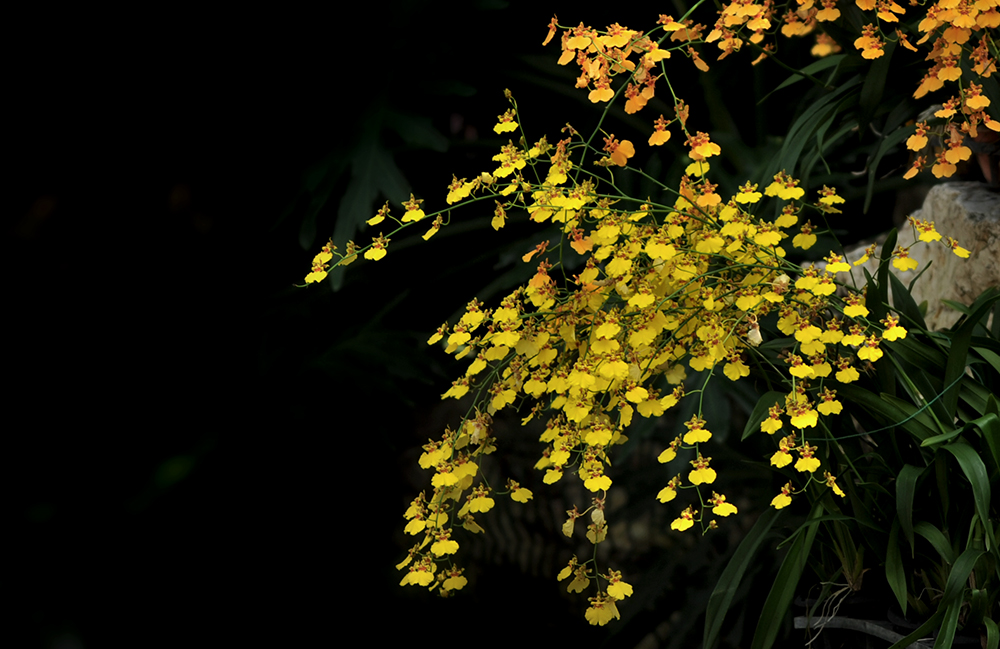 DSC_6583.JPG