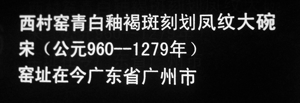 IMGL3909.jpg