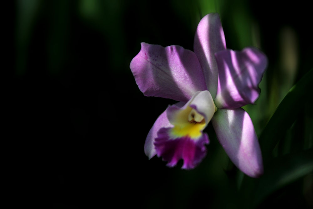 DSC_6587.JPG