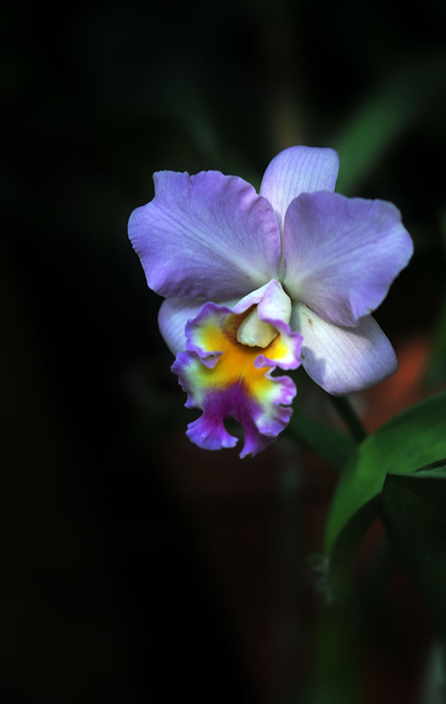 DSC_6588.JPG