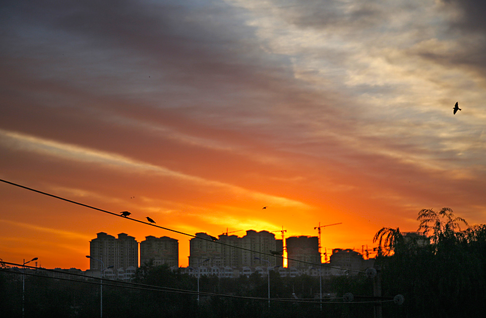 IMG_5011.jpg