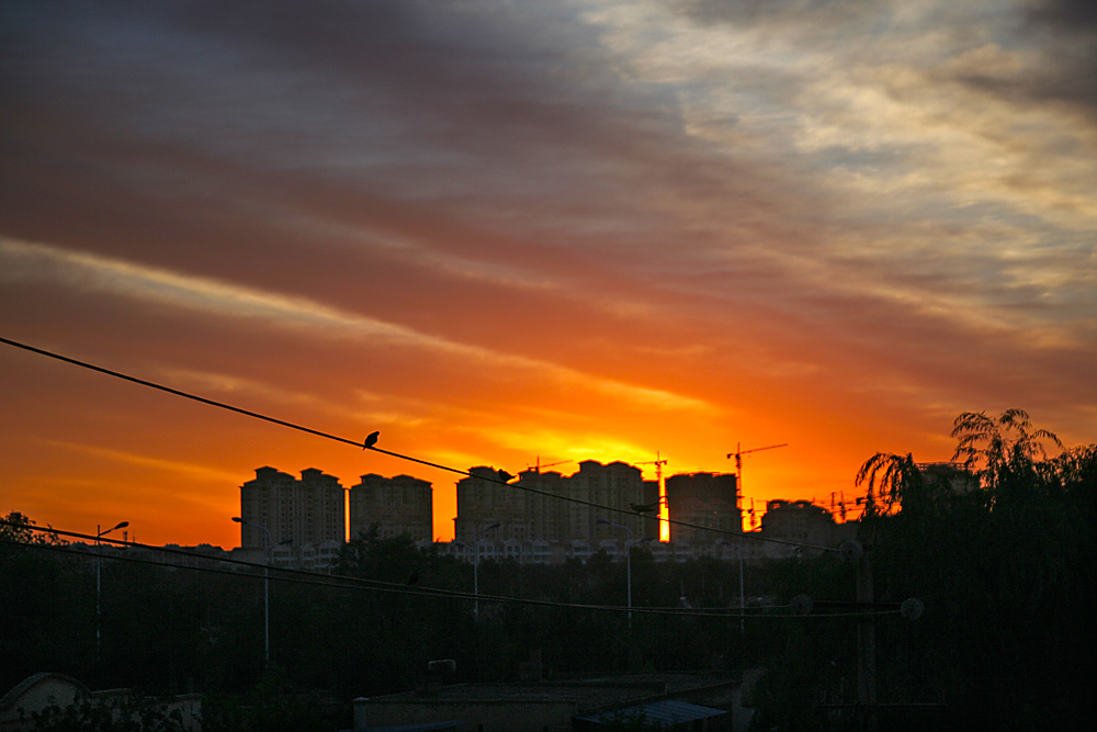 IMG_5012.jpg