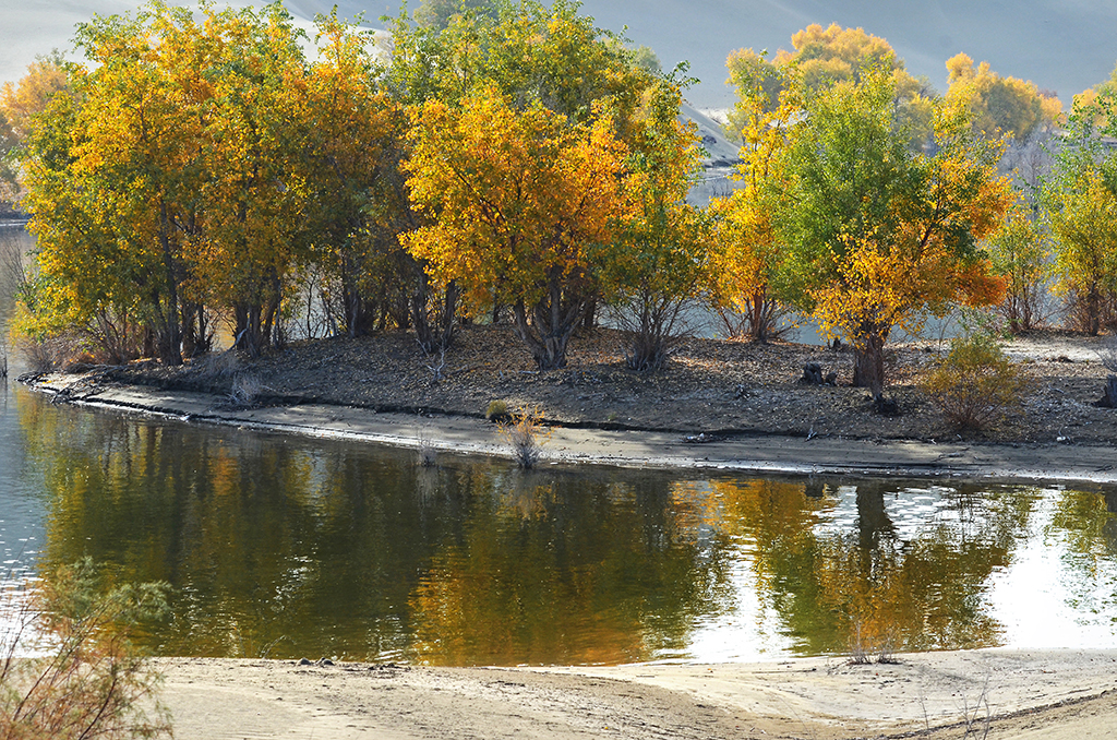 DSC_2854.JPG
