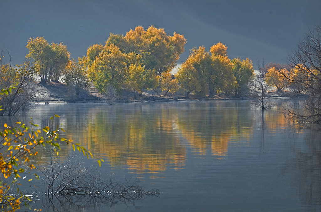 DSC_2864.JPG