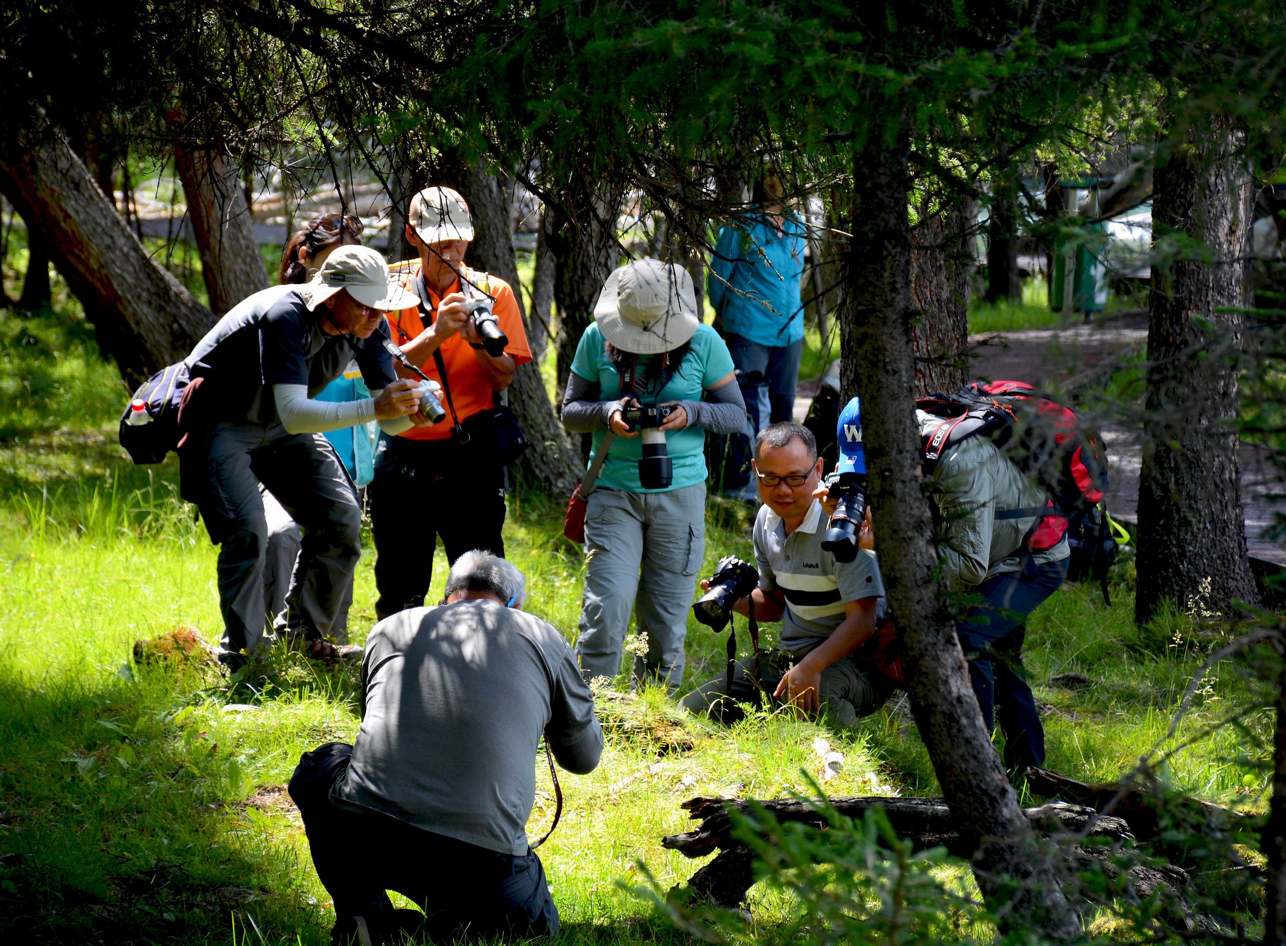 С DSC_1689.JPG