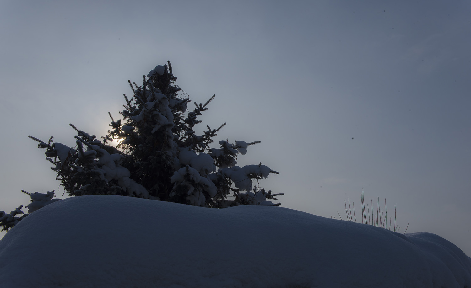 _DSC6149.JPG