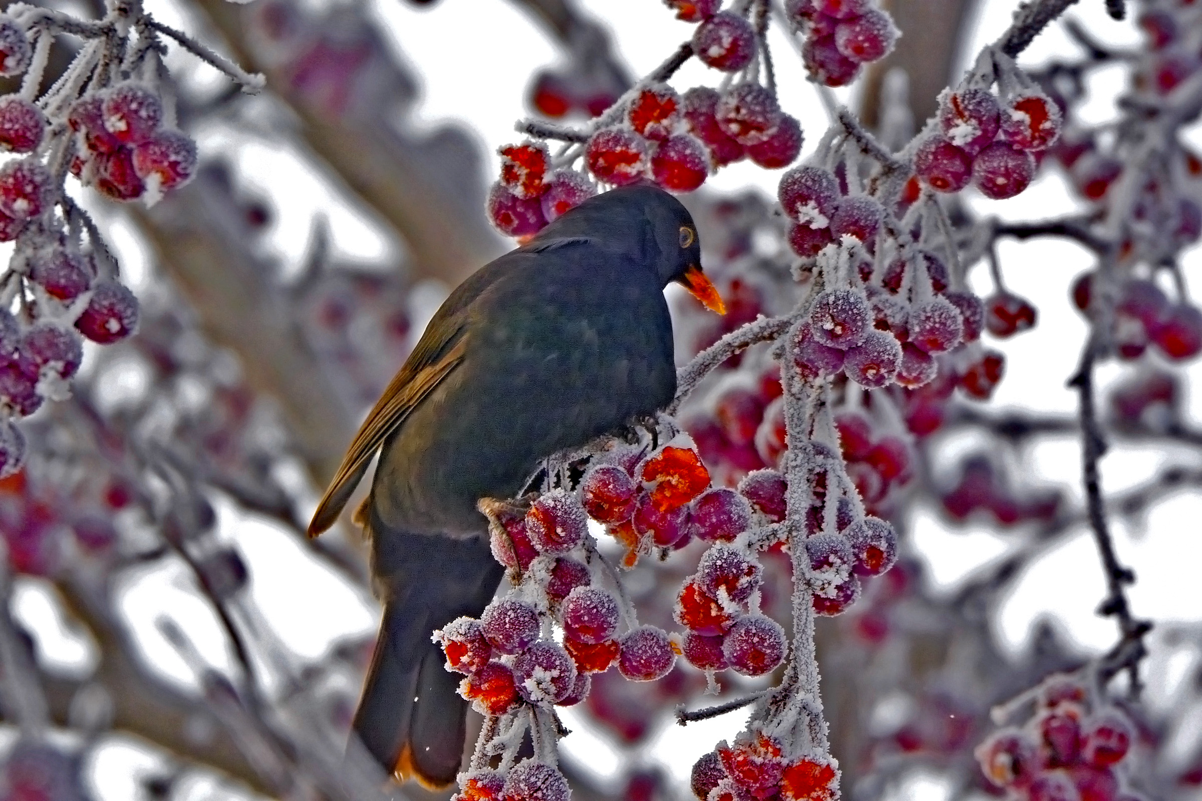 _DSC9689.jpg