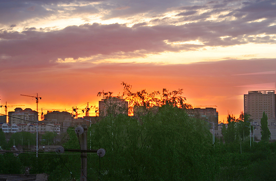 IMG_3645.jpg