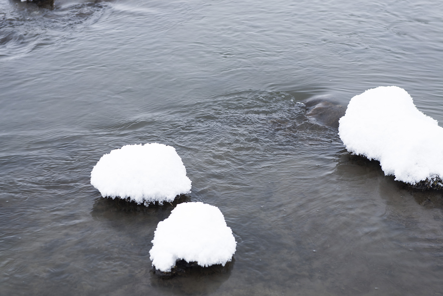 _DSC6175.JPG