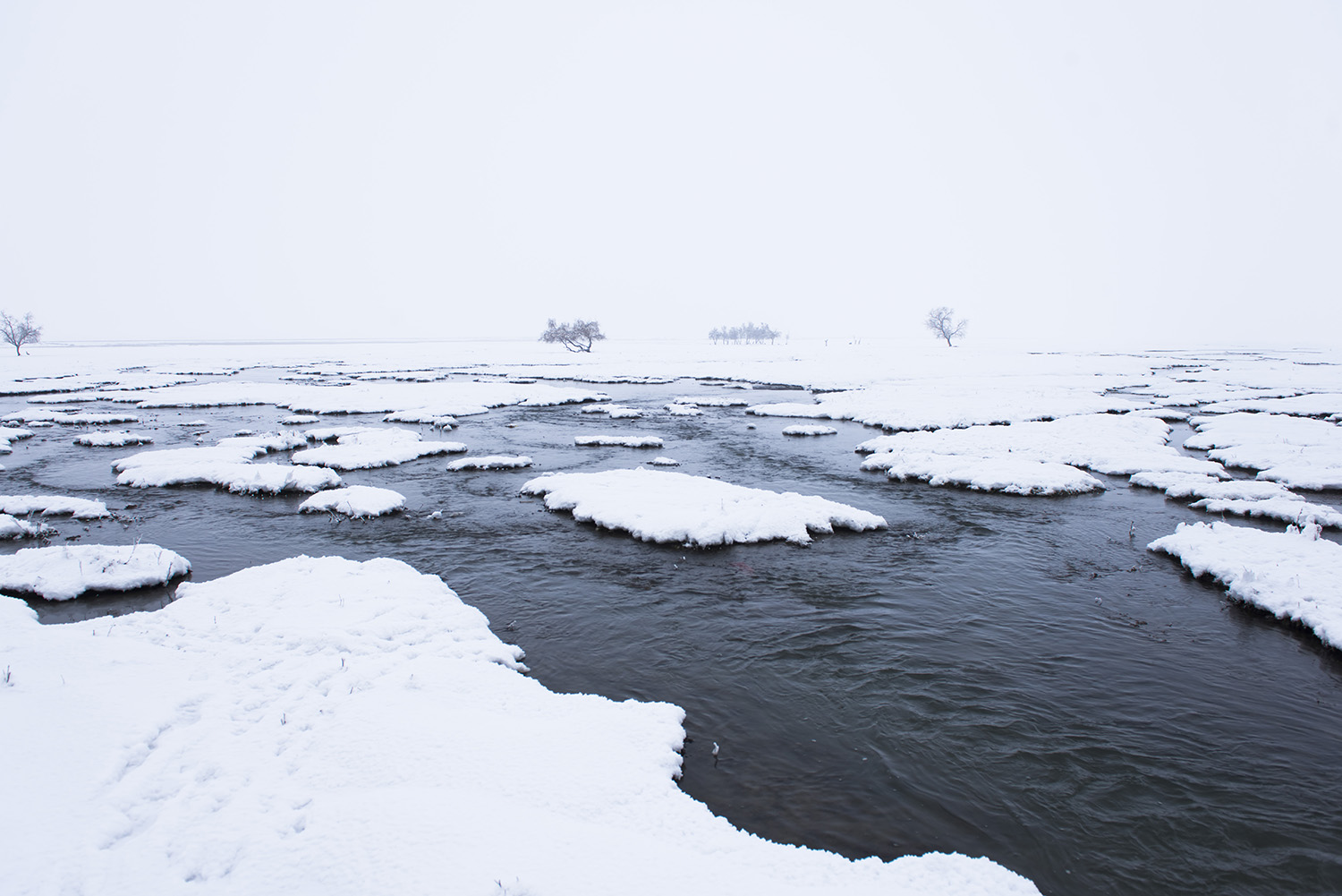 _DSC6178.JPG