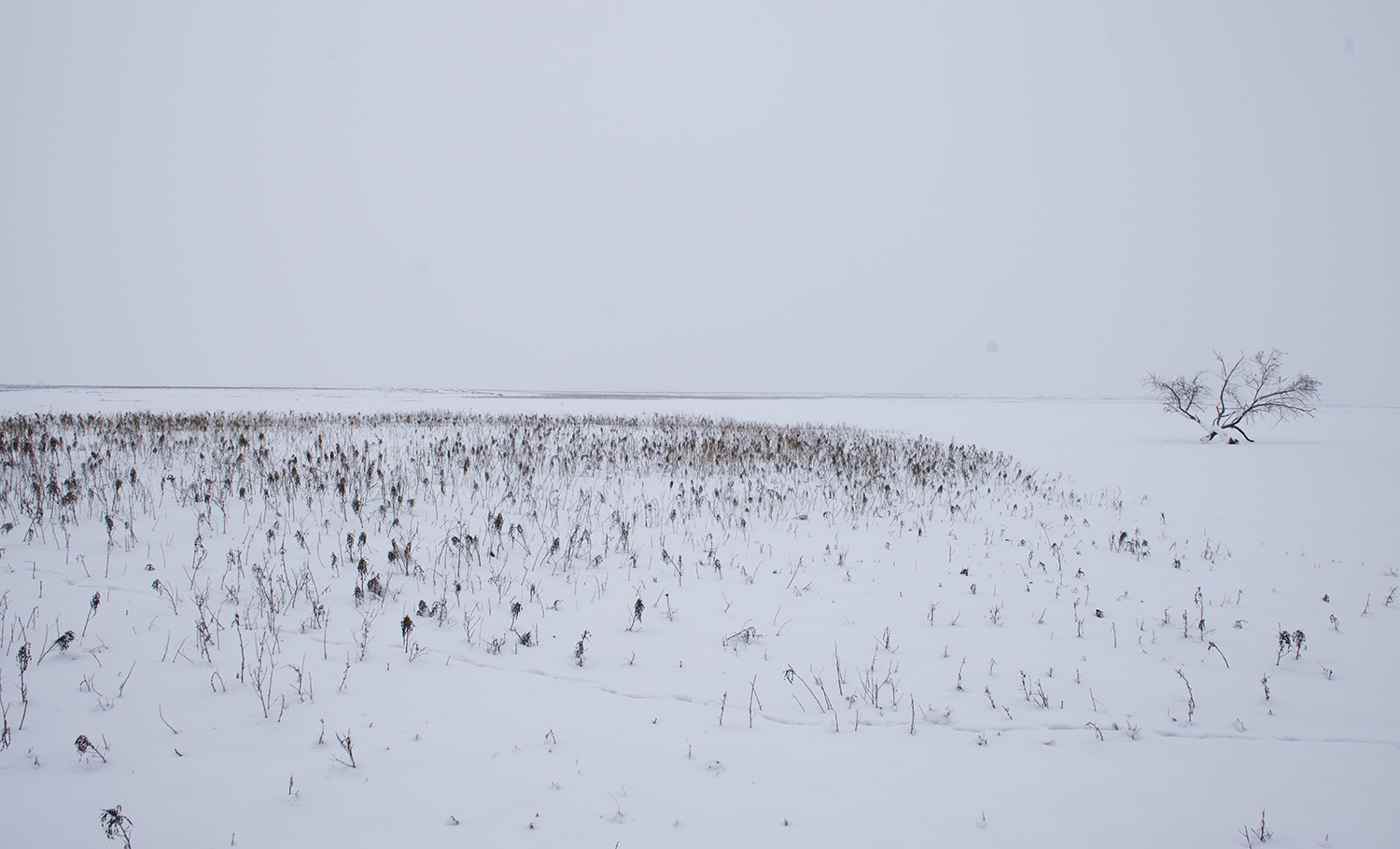 _DSC6254.JPG