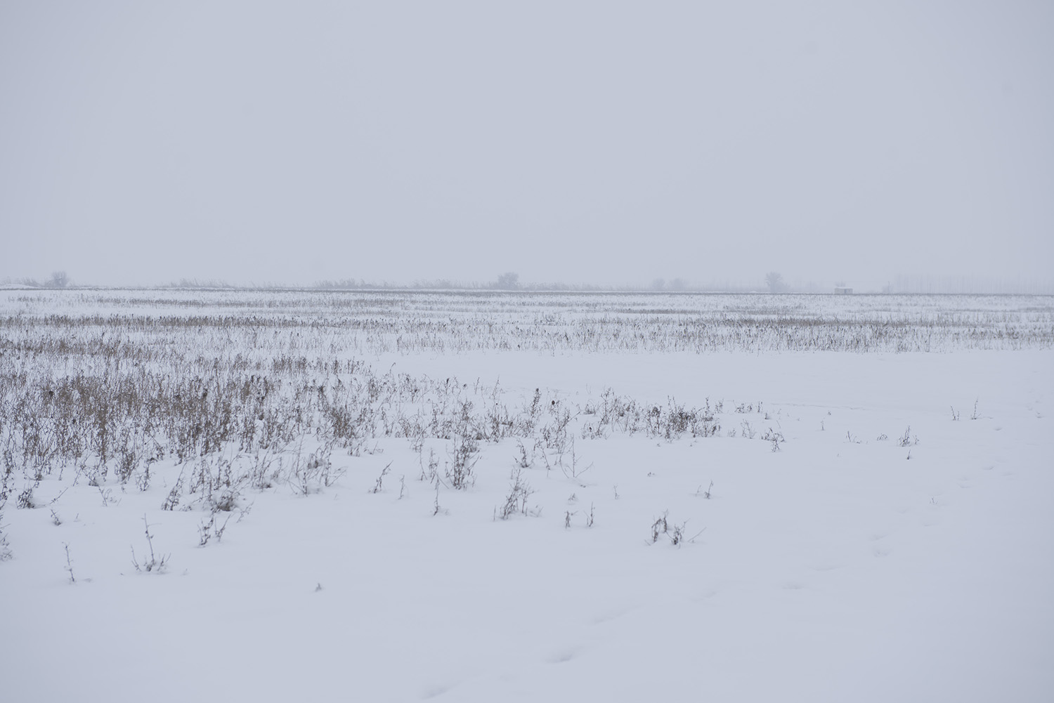 _DSC6283.JPG