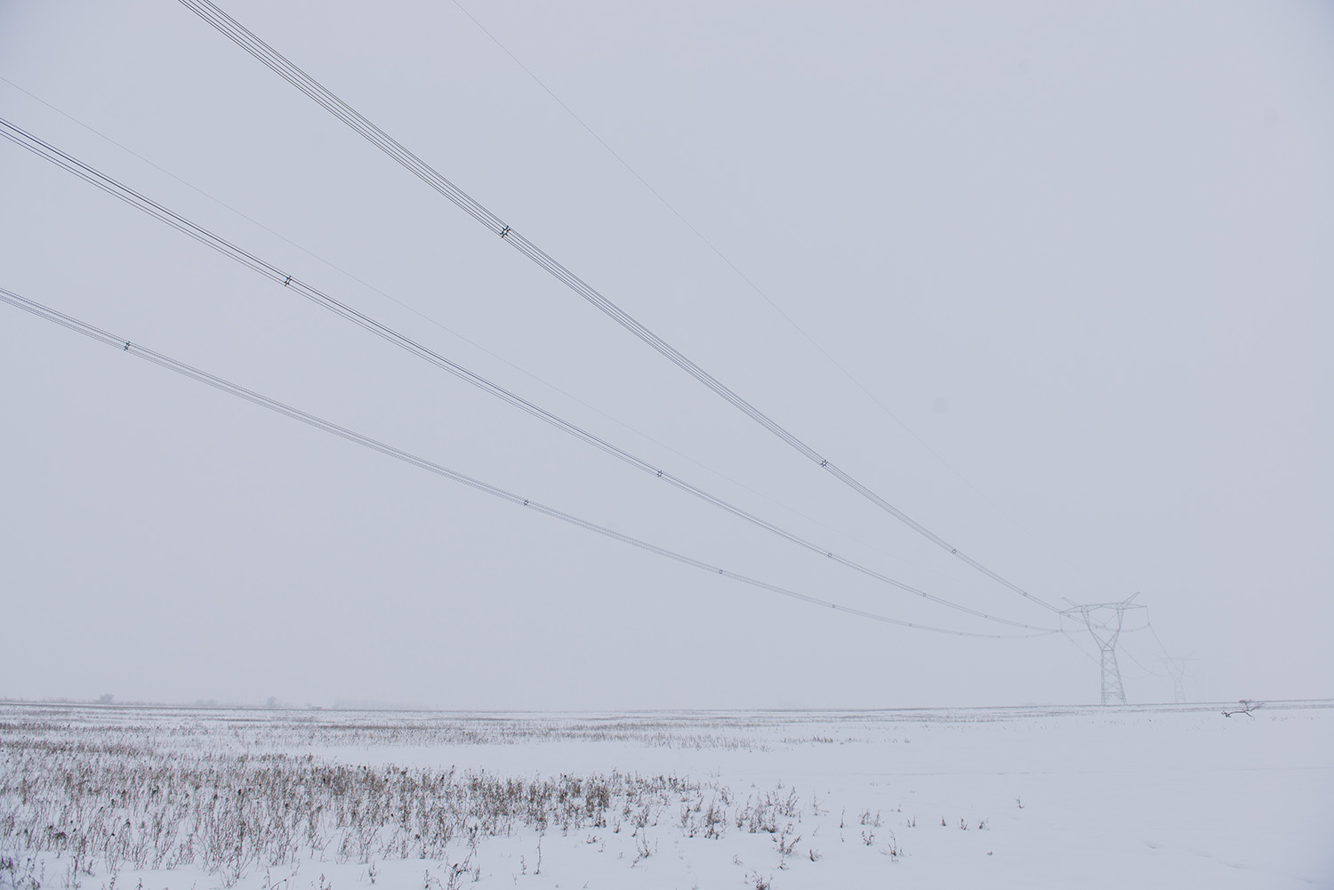_DSC6284.JPG