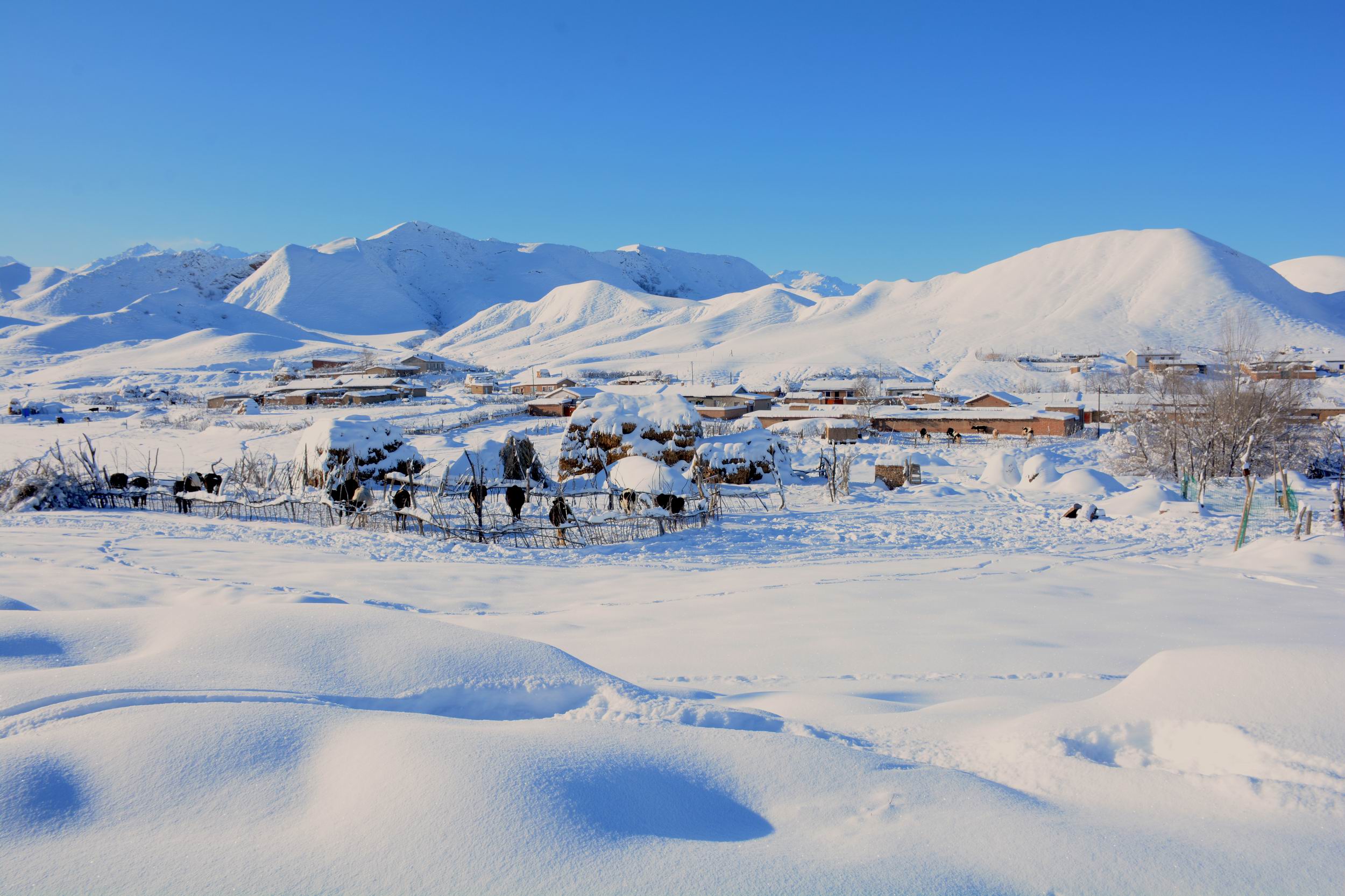 С DSC_0361.JPG
