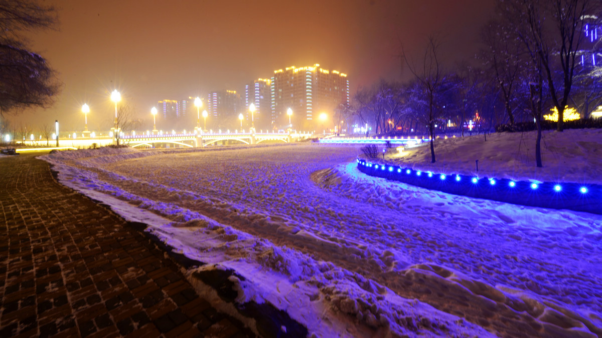 nEO_IMG__DSC7207.jpg