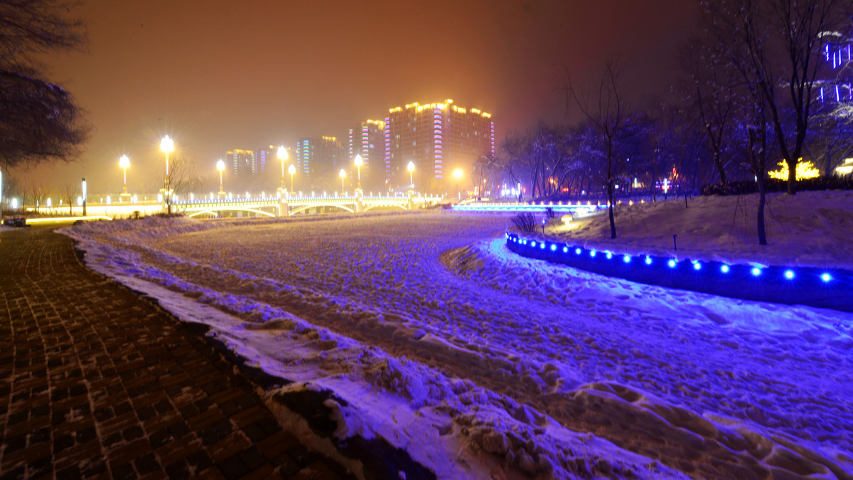 nEO_IMG__DSC7206.jpg