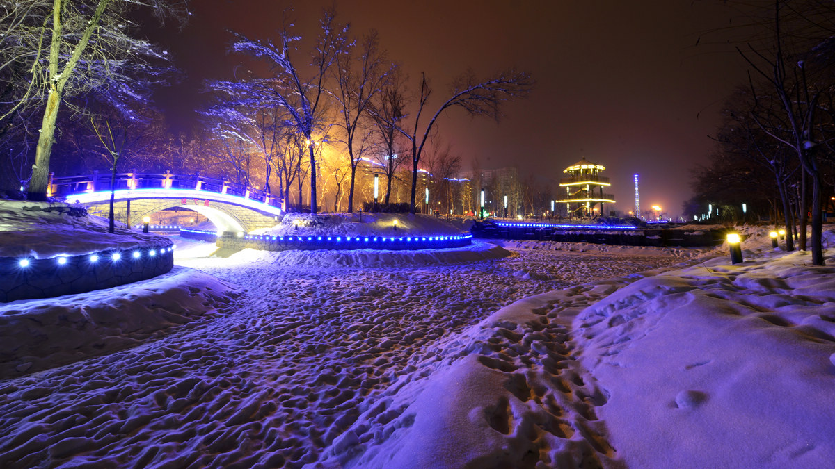 nEO_IMG__DSC7205.jpg