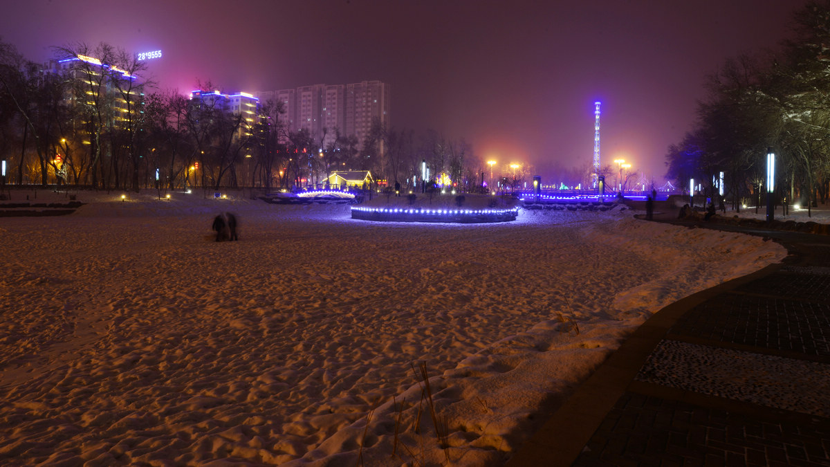 nEO_IMG__DSC7204.jpg