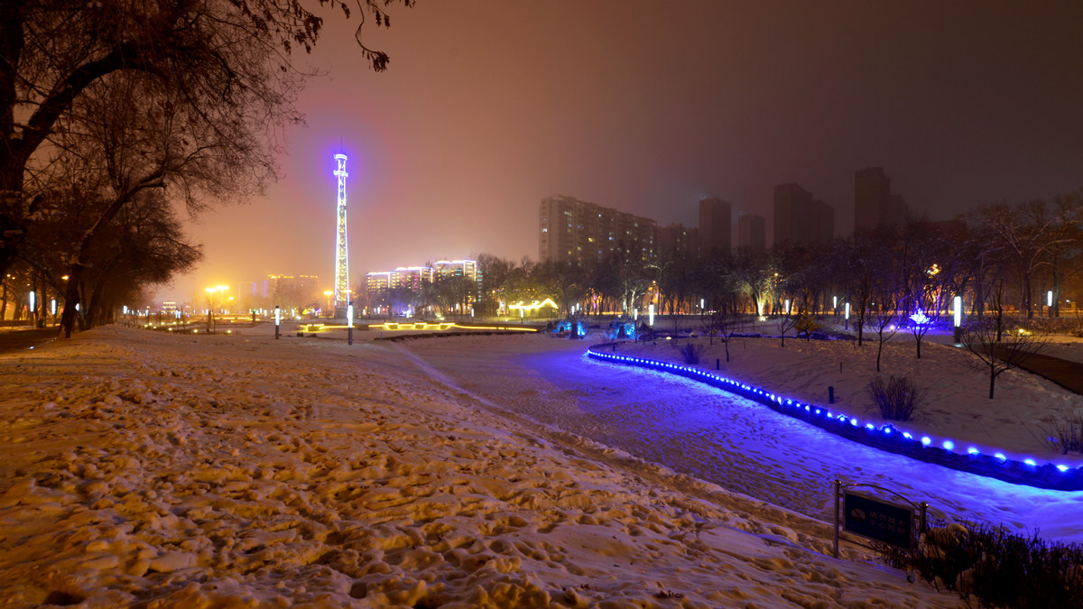 nEO_IMG__DSC7194.jpg