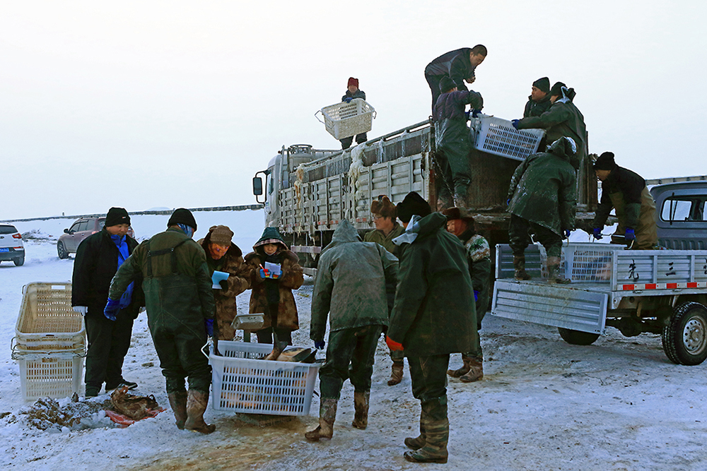 Ź13899508168 (4).jpg