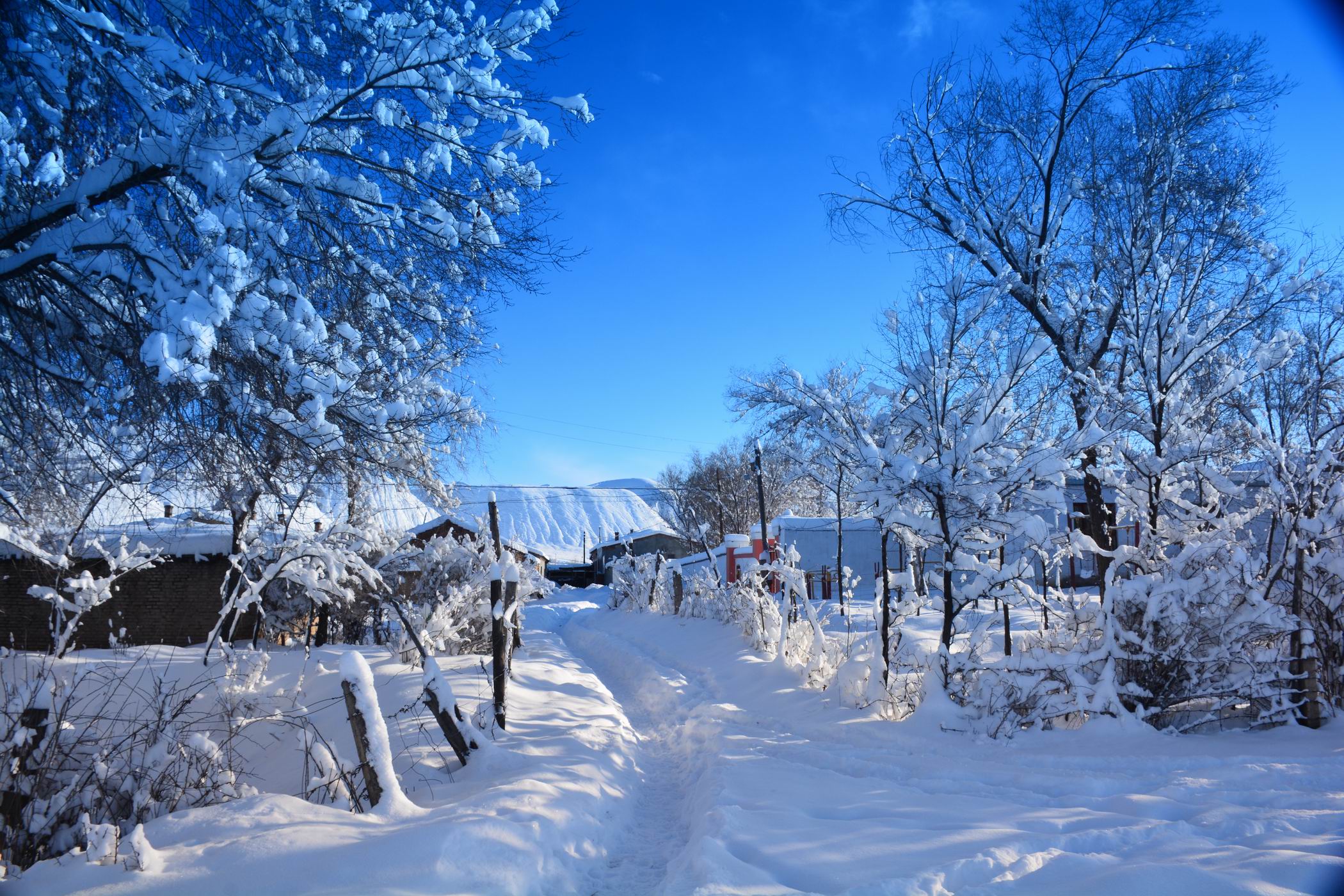 С DSC_0343.JPG