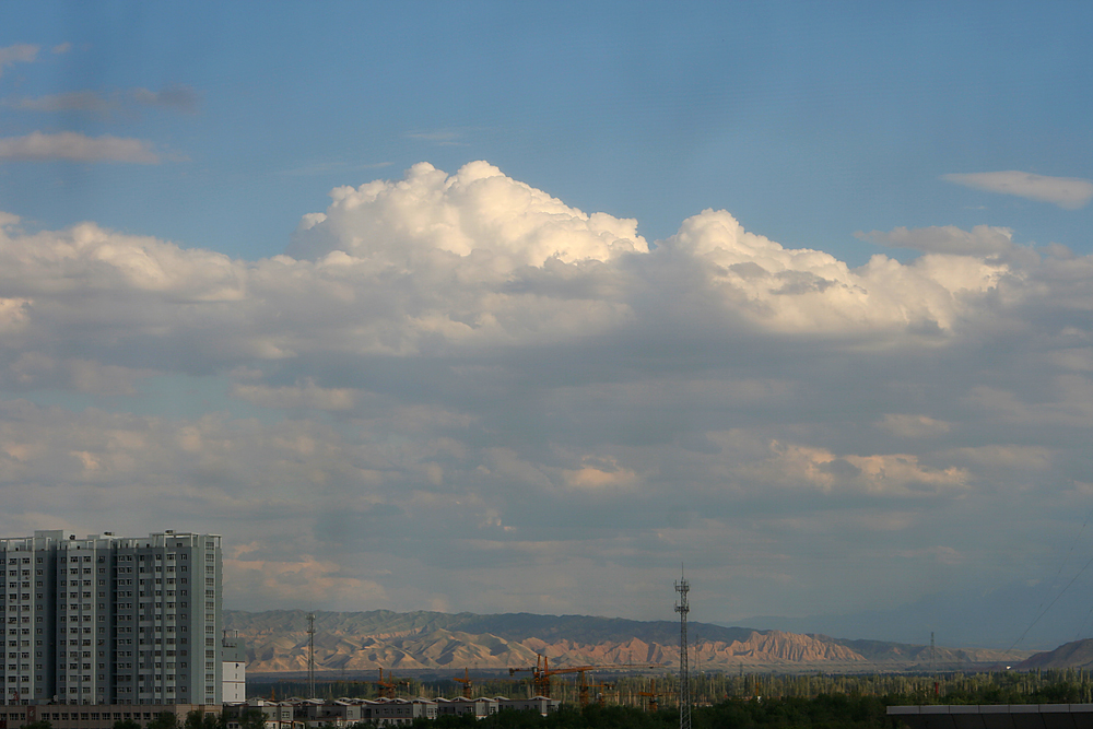 IMG_4323.jpg