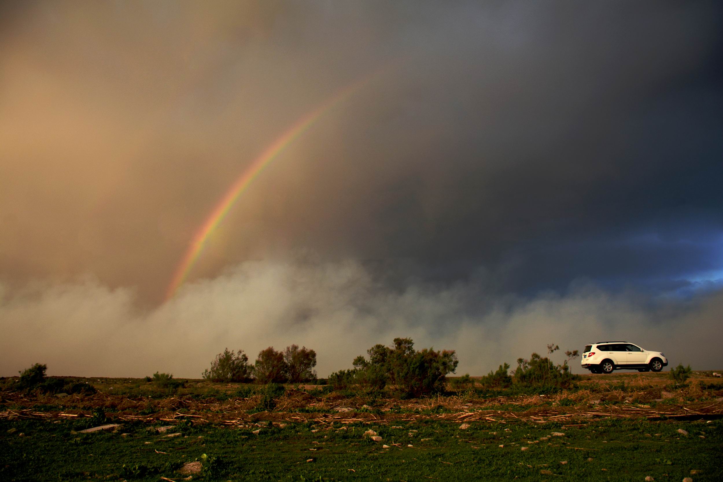 С DSC_60651_.jpg