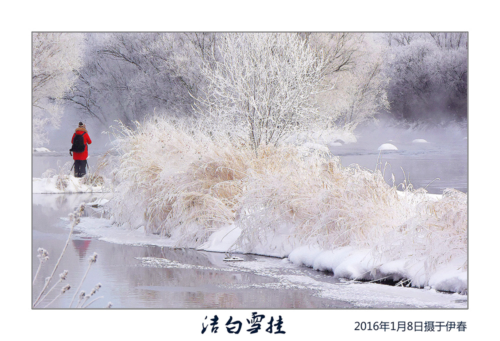 _DSC0423b.jpg