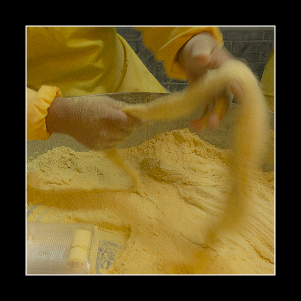 _DSC4027.jpg