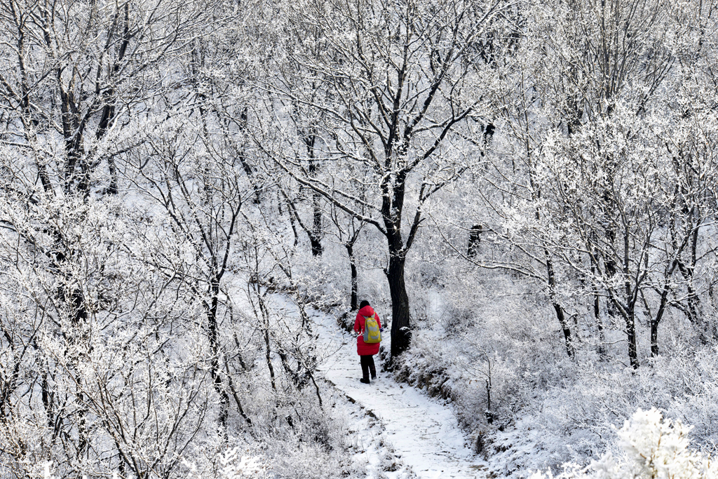 _DSC094-3.jpg