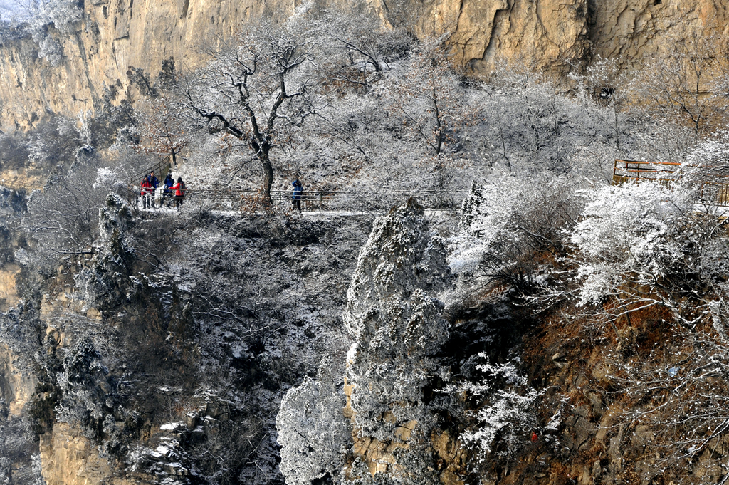 _DSC6724=.jpg