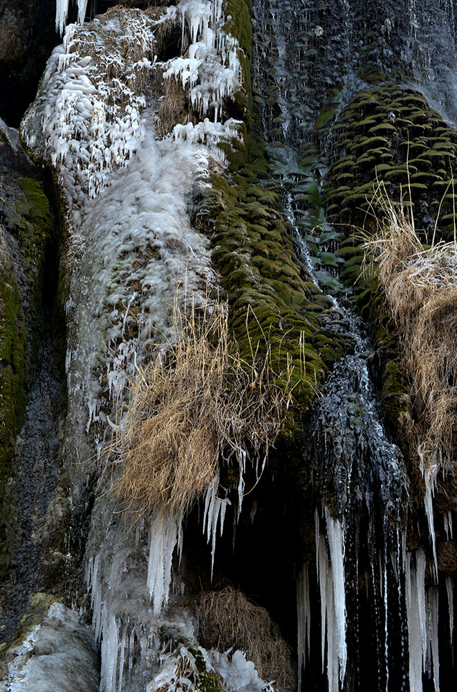 DSC_5033.JPG