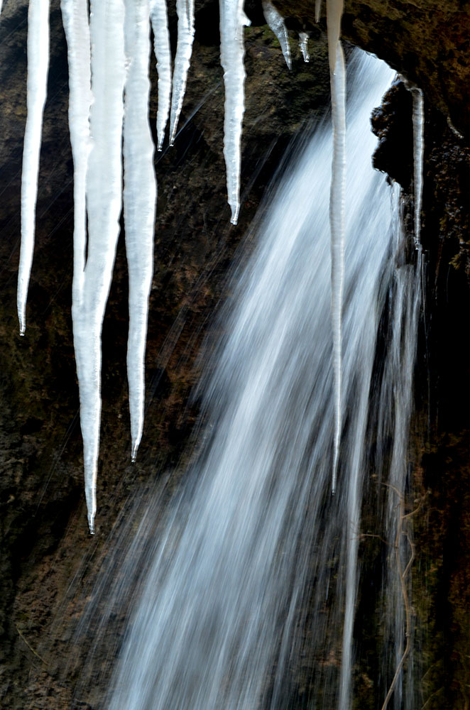 DSC_5037.JPG