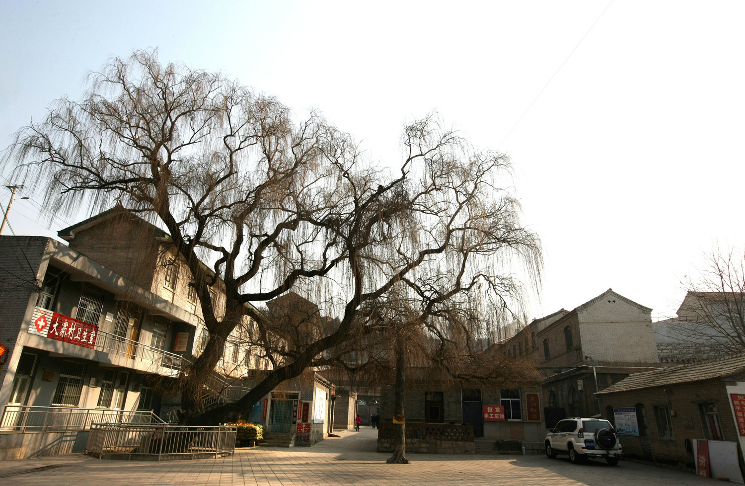 5C9J9017.jpg