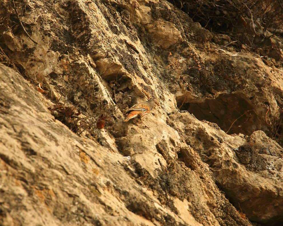 D13223.jpg
